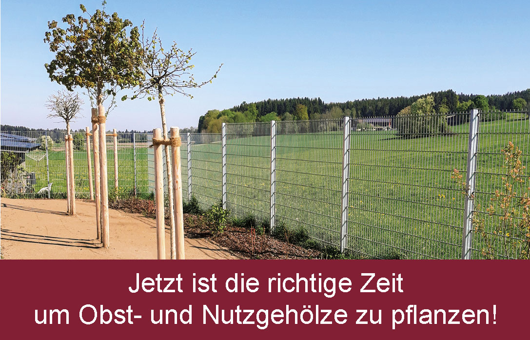 Gärtnertipp des Monats Gärtnertipp des Monats